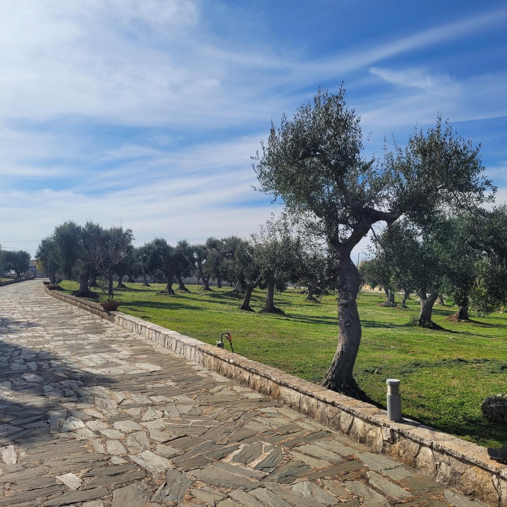 מונופולי Terracielomare Apartments מראה חיצוני תמונה