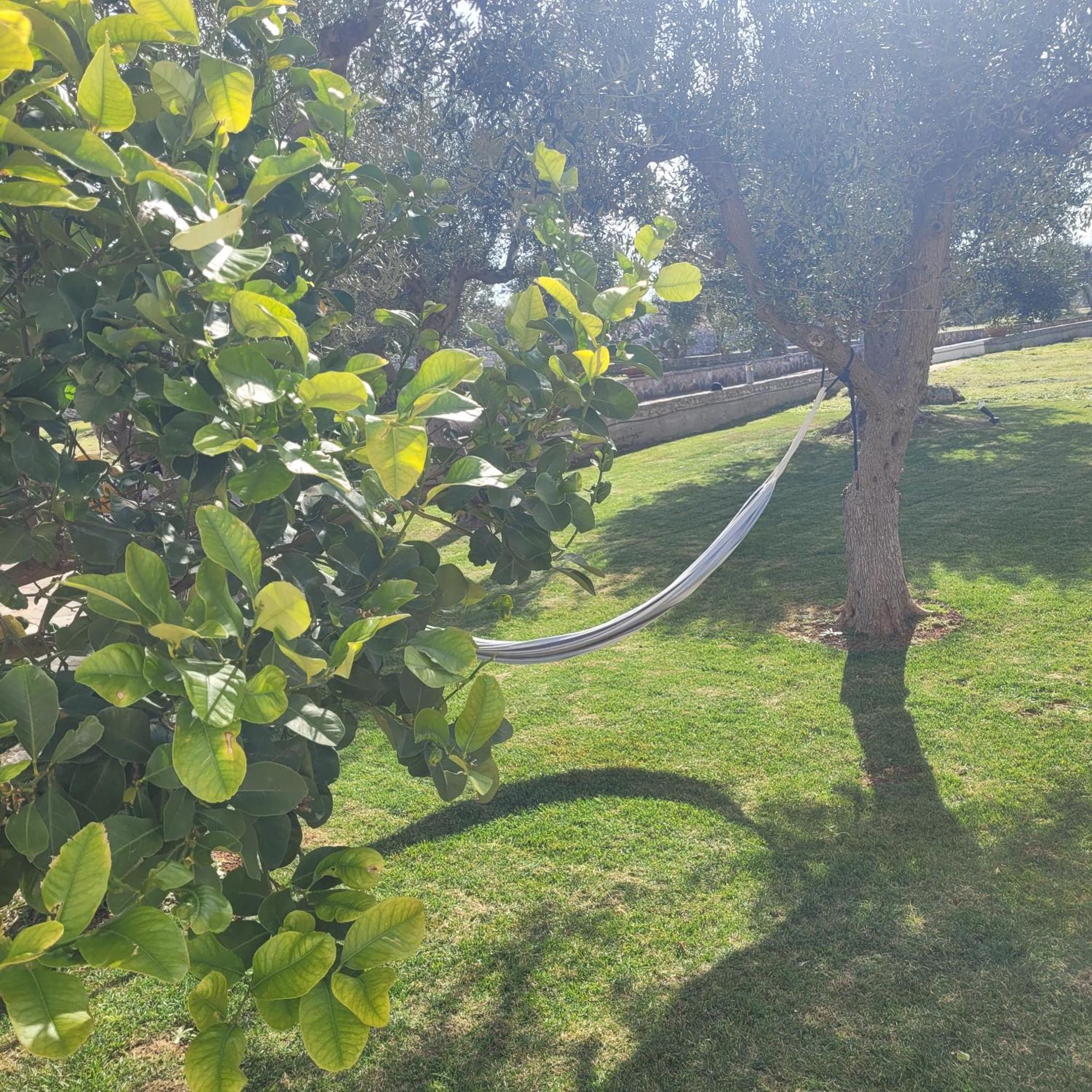 מונופולי Terracielomare Apartments מראה חיצוני תמונה