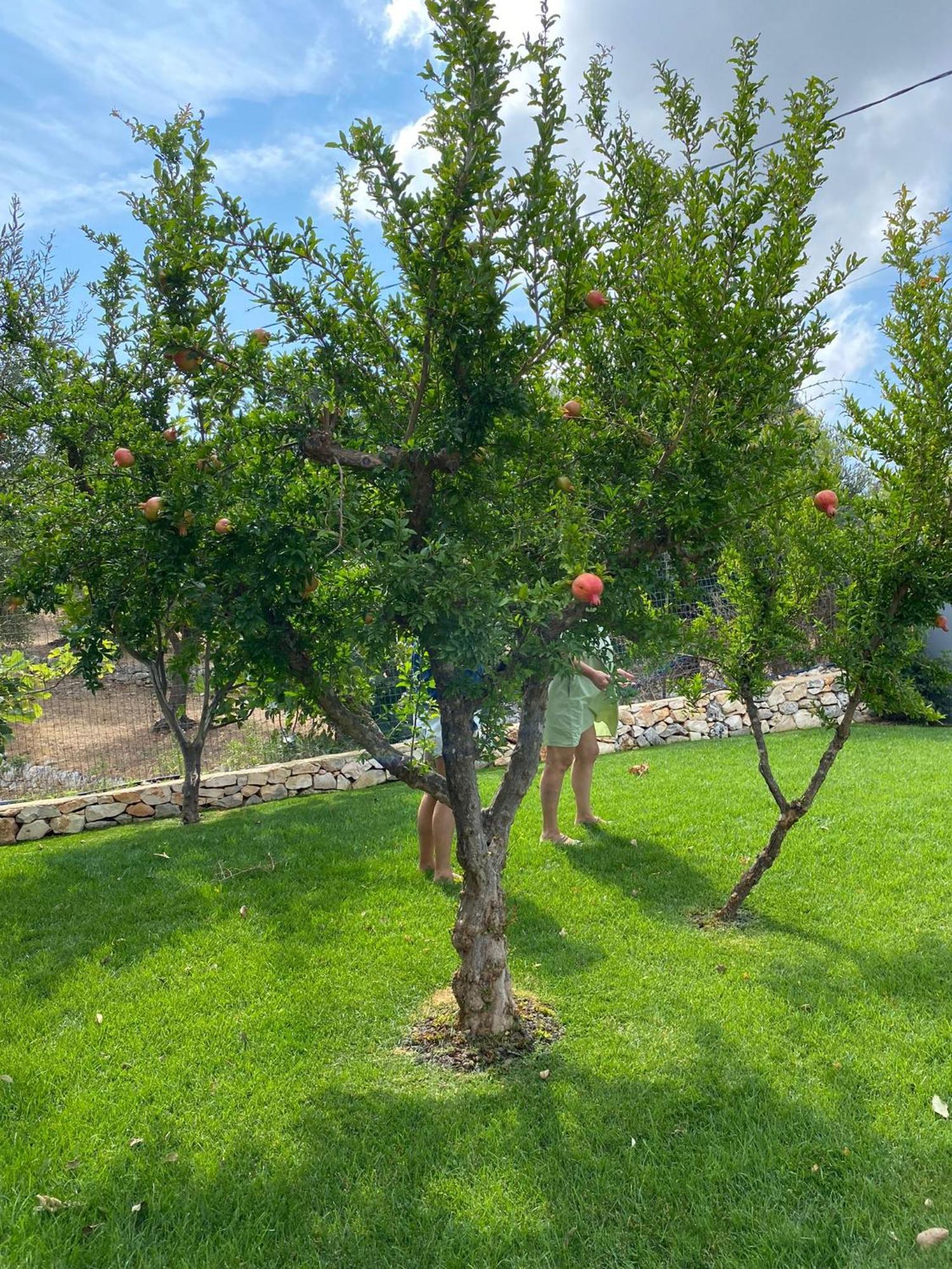 מונופולי Terracielomare Apartments מראה חיצוני תמונה